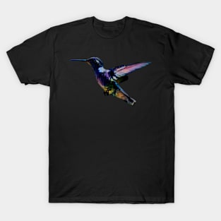 Dream of a Frozen Arrow T-Shirt